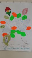 Arbre des langues du collège